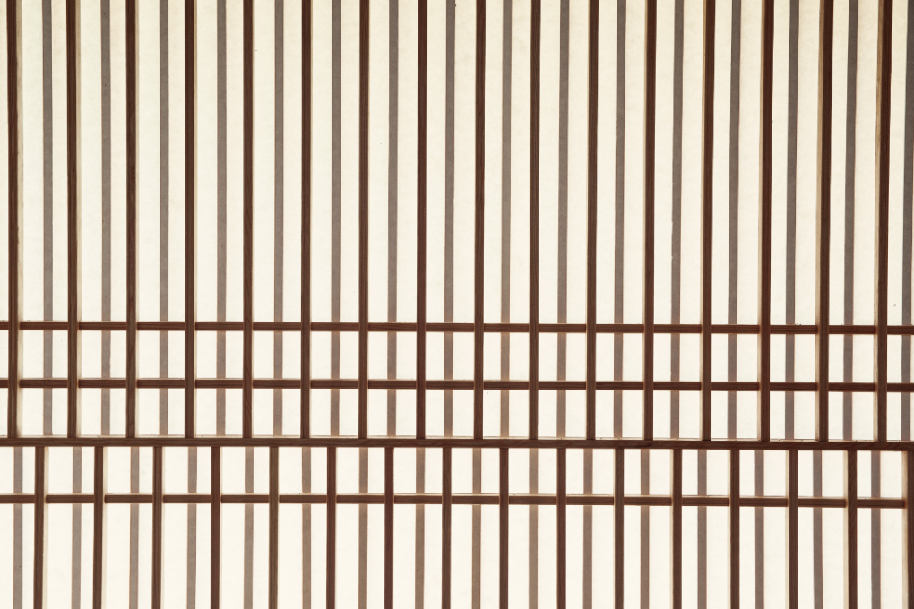 2950065768_FpNEC832_9bf502d464102ec81866bb5d8a1fcd4b2a4f74a8.png