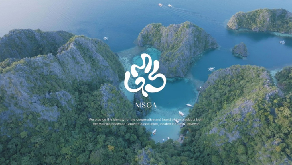 2024_CORON.mp4_20250106_145852.776.jpg